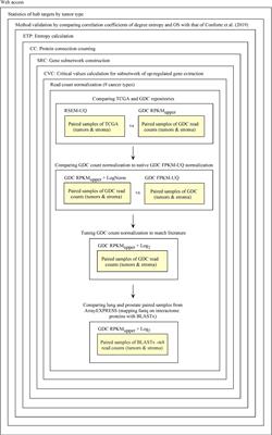 Galaxy and MEAN Stack to Create a User-Friendly Workflow for the Rational Optimization of Cancer Chemotherapy